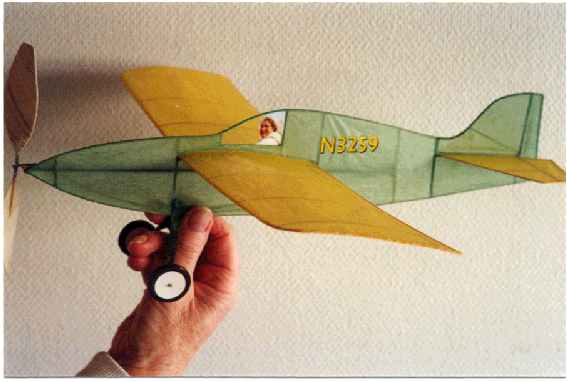 Borgit T&ouml;rnkvist�s Nocal