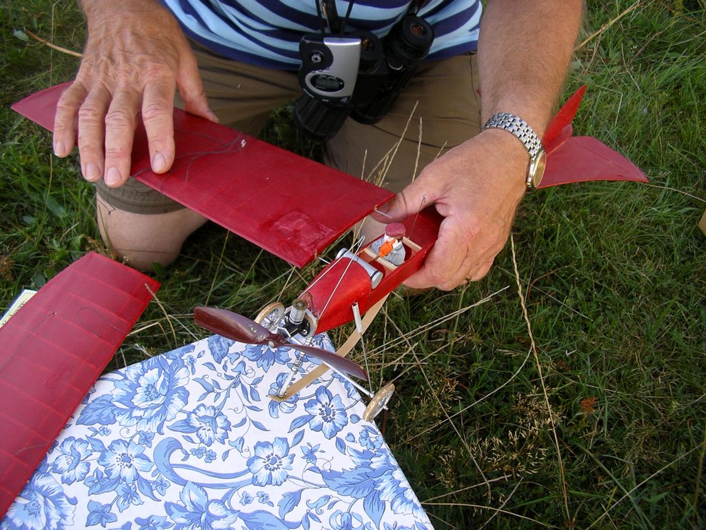 Click on image to return to previous view