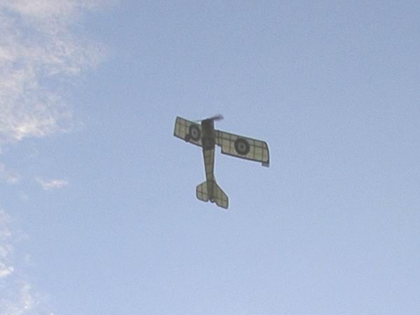 Click on image to return to previous view