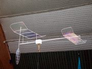 foto: Andrea Hartstein